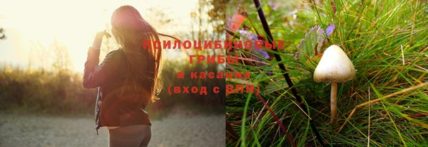 мдма Медвежьегорск
